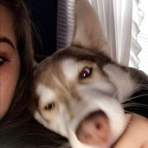 Meet your Posher, Alexis